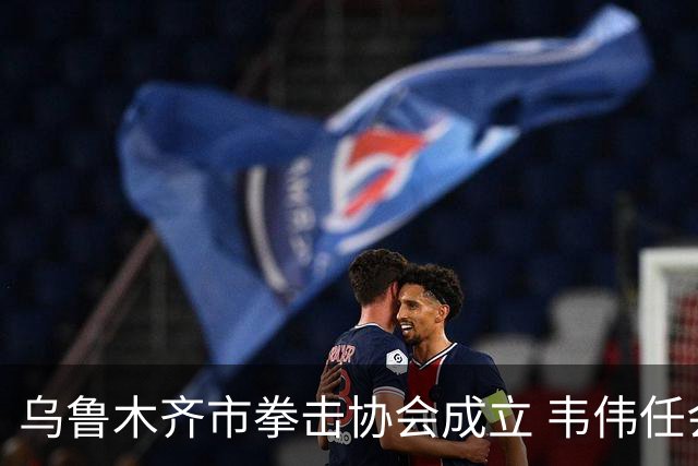 乌鲁木齐市拳击协会成立 韦伟任会长